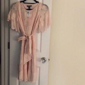 Pea in the Pod Dress NWT